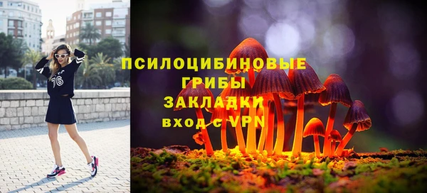 гашик Алзамай