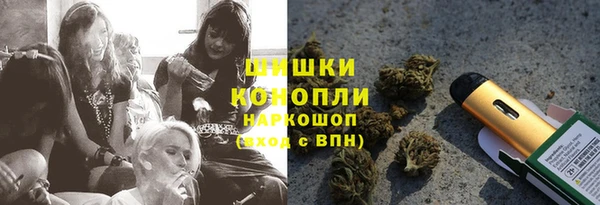 сатива Алексеевка