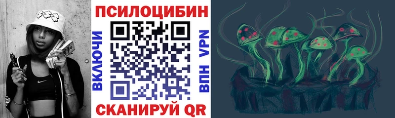 Псилоцибиновые грибы Cubensis Нефтекумск
