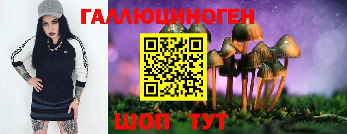 Галлюциногенные грибы Cubensis Нефтекумск